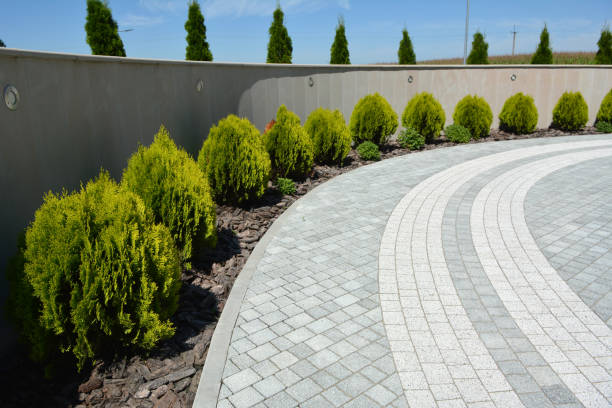 Best Cobblestone Driveway Pavers  in Genoa, AR